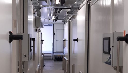 Flur in der Pilzzucht mit Kühllagerbau-Lösungen