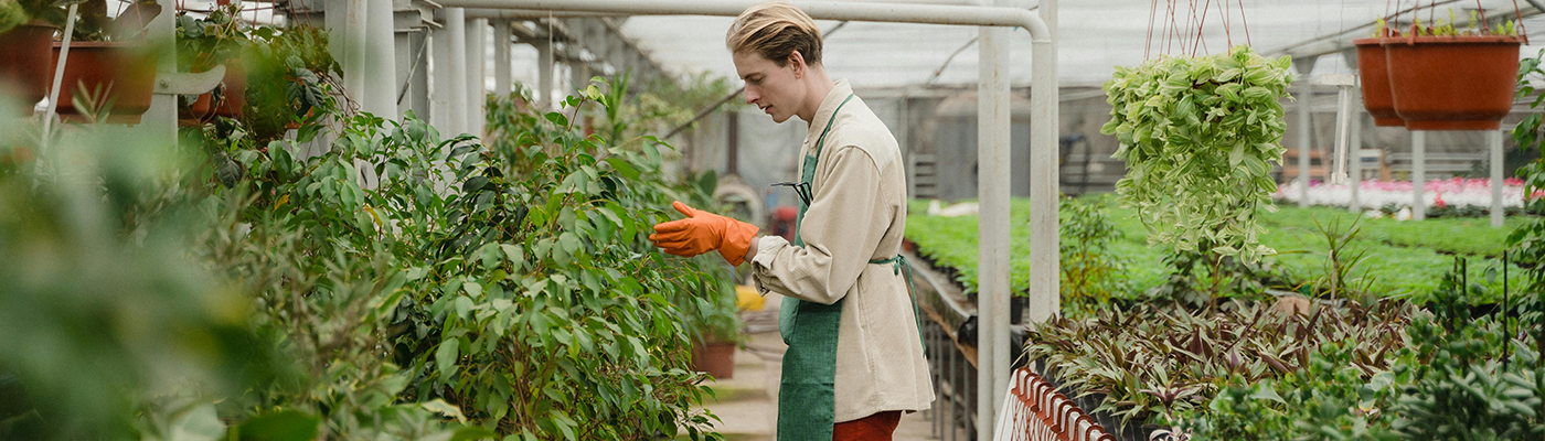 Mann in einem Pflanzengroßhandel